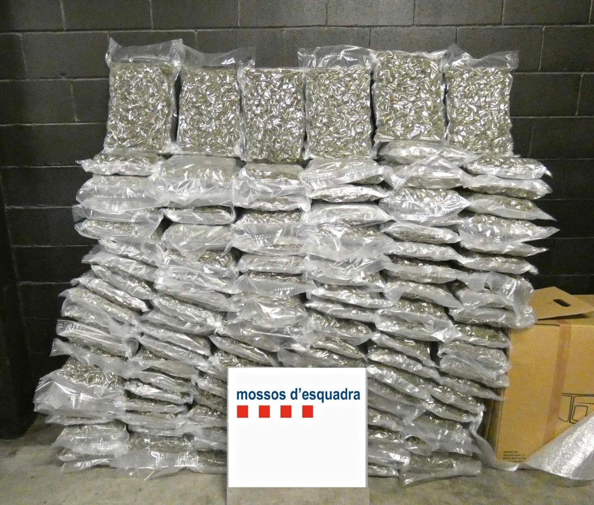 Intervenen 120 quilos de cabdells de marihuana en una furgoneta interceptada al Baix Penedès. Mossos d'Esquadra