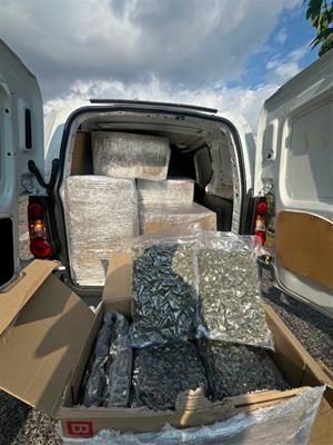 Intervenen 120 quilos de cabdells de marihuana en una furgoneta interceptada al Baix Penedès