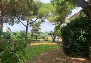 Jardí de l’hospital Sant Antoni Abat de Vilanova i la Geltrú . Eix