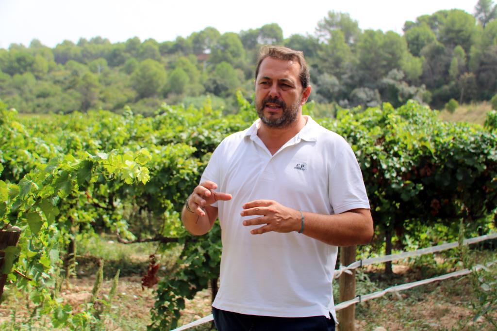 Joaquim Tosas, president d'AECAVA. ACN