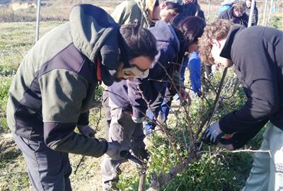 Jornada de portes obertes a l’Escola d’Espiells: experiència enològica i oportunitats formatives. Escola Espiells