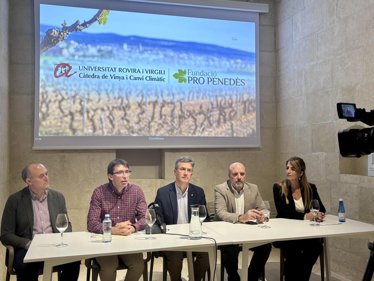 La Càtedra de la Vinya i el Canvi Climàtic es presenta al Congrés Internacional d’Enologia . Ajuntament de Vilafranca