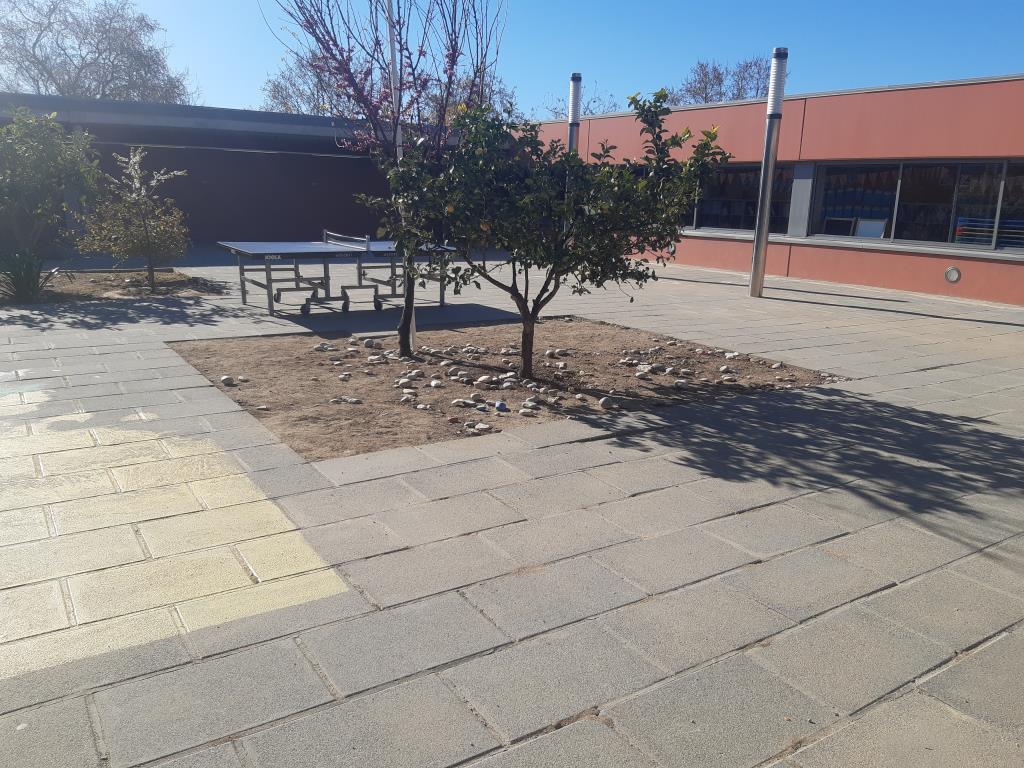 La coberta verda de l’Escola Maria Ossó de Sitges serà una realitat al desembre. Ajuntament de Sitges