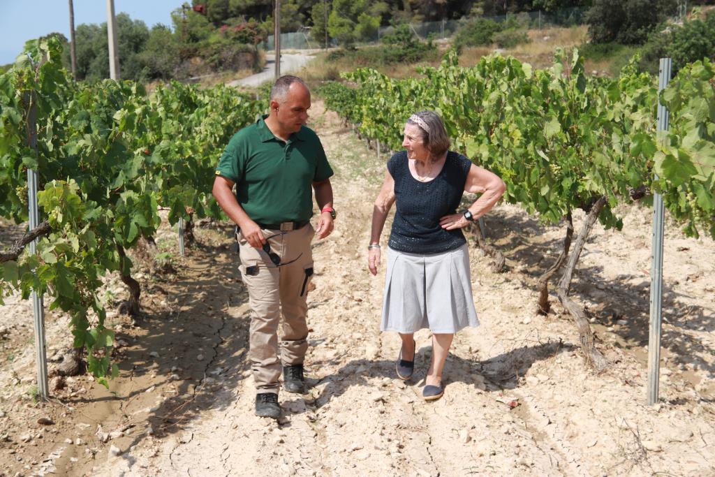 La Comunitat de Regants del Foix s'ha sentit assenyalada en ple debat sobre la utilitat del pantà. ACN