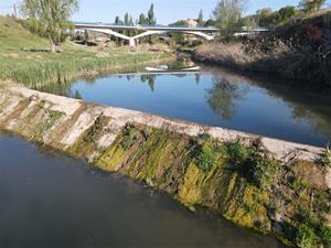 La Diputació subvenciona amb 50.000 euros un projecte per evitar que les tovalloletes arribin al riu Anoia. EIX