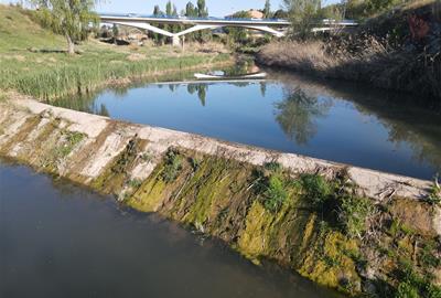 La Diputació subvenciona amb 50.000 euros un projecte per evitar que les tovalloletes arribin al riu Anoia. EIX