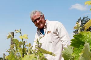 La DO Penedès lamenta que el sector vitivinícola hagi quedat exclòs dels aranzels reduïts del 2,5%. ACN