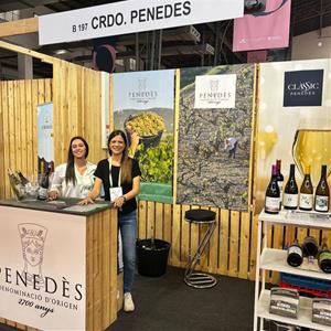 La DO Penedès presenta al Fòrum Gastronòmic de Barcelona la seva primera verema 100% ecològica. DO Penedès