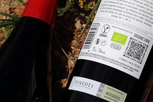 La DO Penedès presumeix d'esdevenir la primera regió vinícola 100% ecològica . ACN