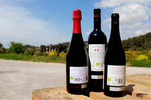 La DO Penedès presumeix d'esdevenir la primera regió vinícola 100% ecològica 