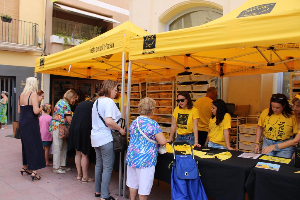 La Festa de la Fil·loxera estrena marxandatge amb noves samarretes i un joc infantil. EIX