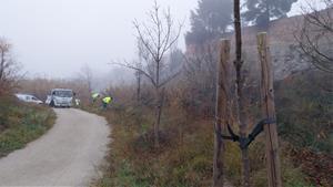 La Mancomunitat de la Conca d’Òdena replantarà arbres a la riera d’Òdena per millorar la biodiversitat. Mancomunitat