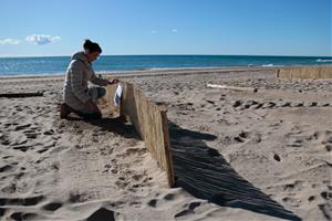 La platja de Calafell incorpora captadors eòlics per afavorir el manteniment de les dunes i la resiliència de l'entorn