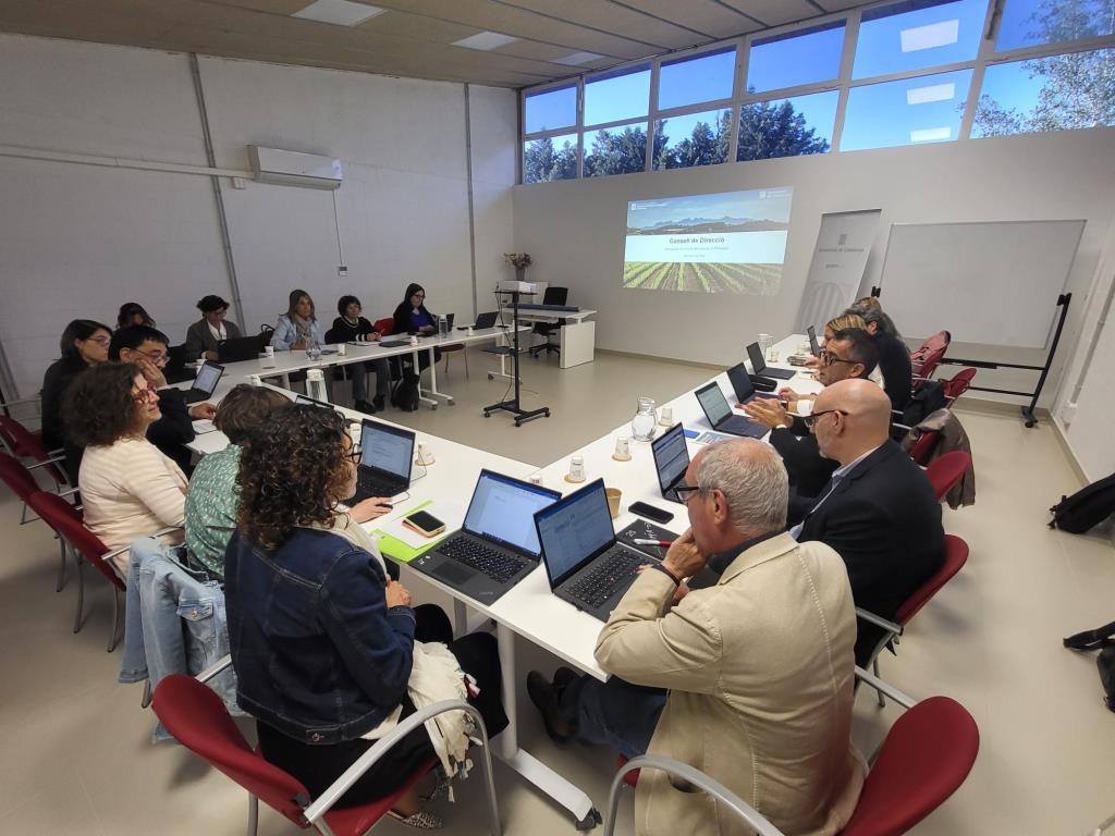 La resposta a l'apagada elèctrica de dilluns centra el consell de direcció del Penedès. Generalitat de Catalunya