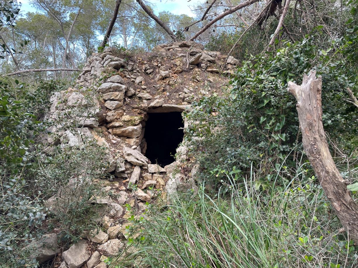 La restauració de murs de pedra seca reforça la resiliència davant el canvi climàtic al Garraf. Diputació de Barcelona