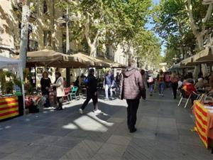 La Vegueria del Penedès es tenyeix de roses i llibres per Sant Jordi