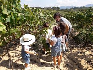 La Verema del Cava celebra 10 anys amb un mes d’experiències entre vinyes, bombolles i gastronomia