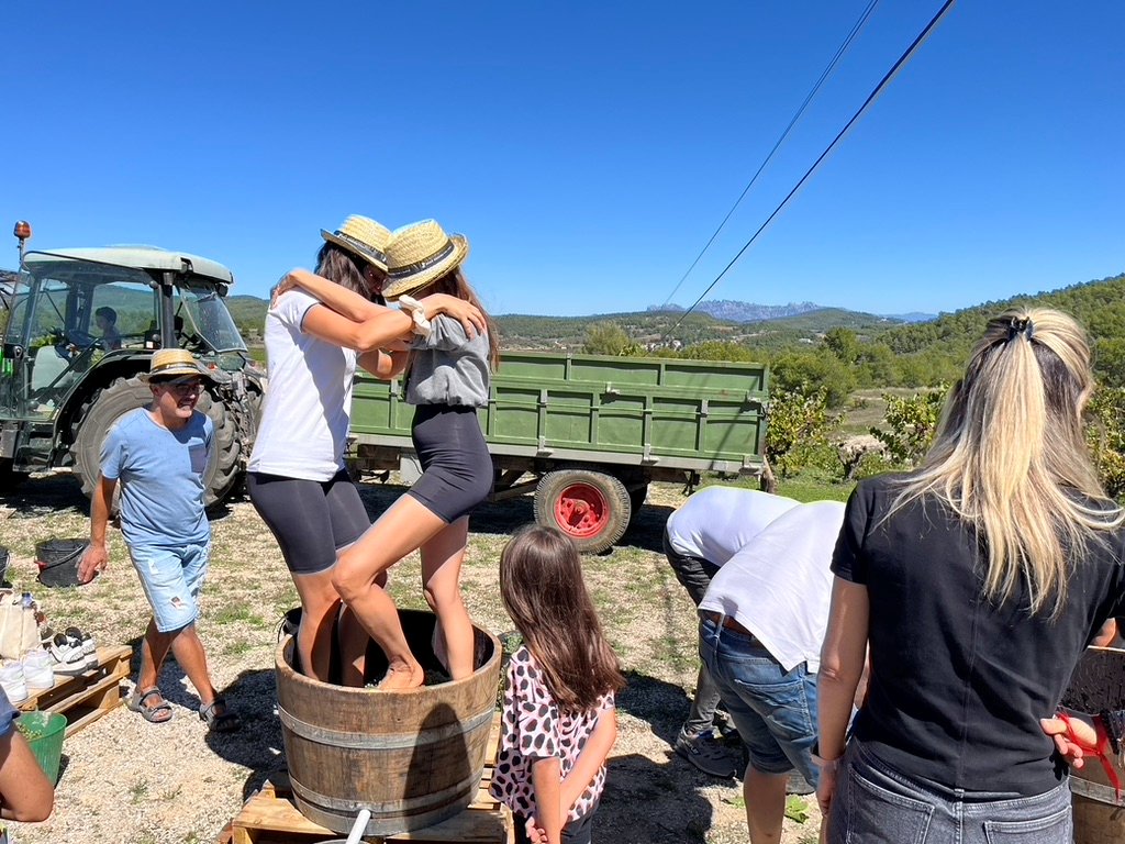 La Verema del Cava celebra 10 anys amb un mes d’experiències úniques entre vinyes i bombolles. AECAVA