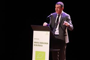 La vinya ecològica triplica la seva superfície respecte a una dècada enrere