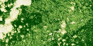 L'Alt Penedès, el 13 de maig del 2025, en una imatge de satèl·lit NDVI, que mostra a més color verd, més estat saludable de la vegetació. ACN