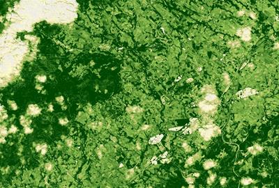 L'Alt Penedès, el 13 de maig del 2025, en una imatge de satèl·lit NDVI, que mostra a més color verd, més estat saludable de la vegetació. ACN
