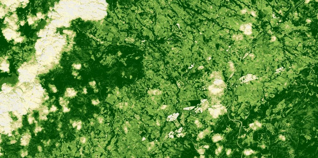 L'Alt Penedès, el 13 de maig del 2025, en una imatge de satèl·lit NDVI, que mostra a més color verd, més estat saludable de la vegetació. ACN