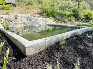 L’alumnat del PFI de Canyelles construeix una bassa per a amfibis a Llacunalba per afavorir la biodiversitat. Ajuntament de Canyelles