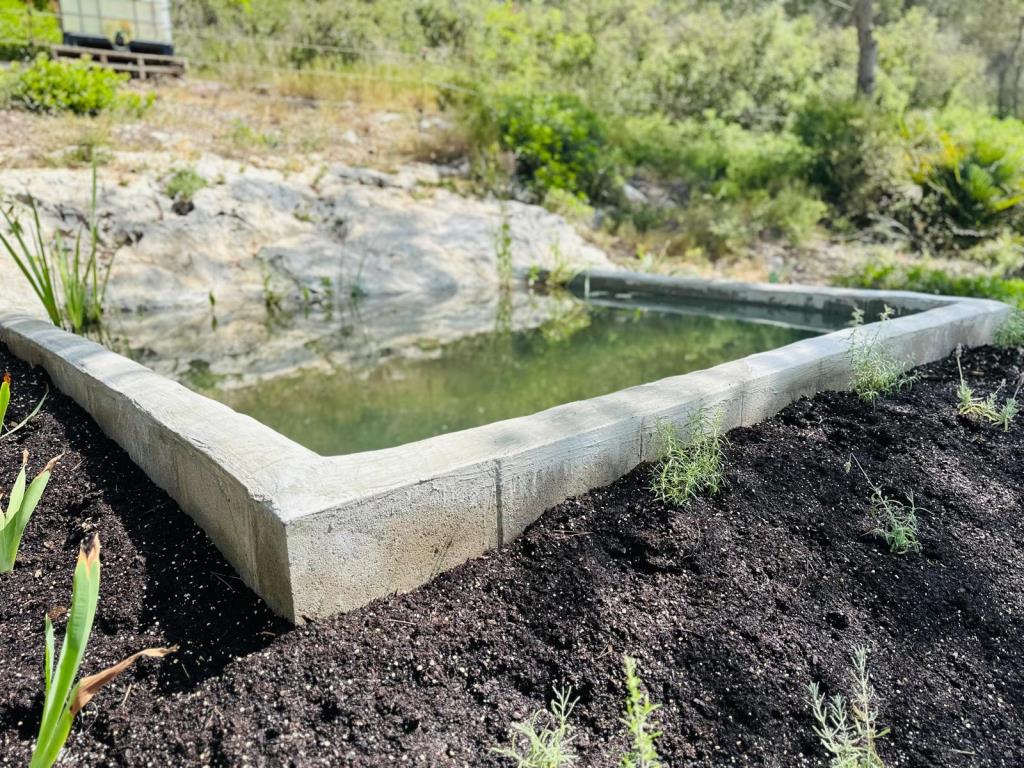 L’alumnat del PFI de Canyelles construeix una bassa per a amfibis a Llacunalba per afavorir la biodiversitat. Ajuntament de Canyelles
