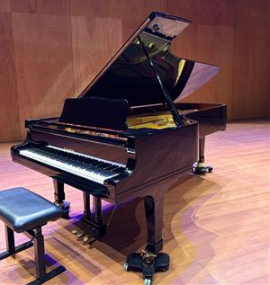 L’Auditori Municipal de Vilafranca estrena un piano de concert gràcies a la Fundació Pinnae