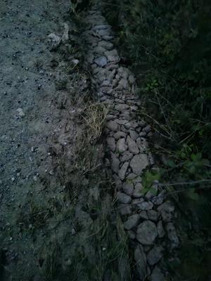 Les pluges de la DANA revelen un antic camí empedrat de traçat medieval a Vilafranca del Penedès