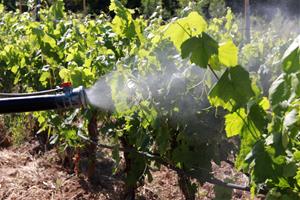 L'INCAVI desplega un tractament experimental al Penedès per reduir l'aplicació de coure a les vinyes