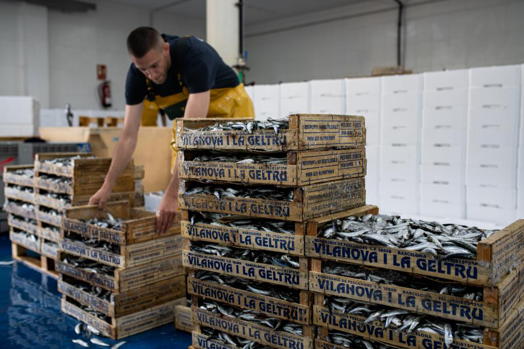 Amadeu Torné Güell