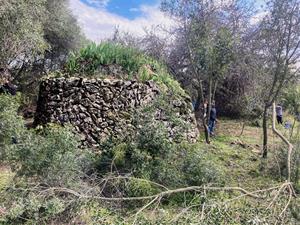 L’Ortoll, el primer espai natural urbà de Catalunya conservat  per la ciutadania?