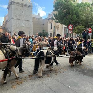 Més de 250 cavalls i una seixantena de carros i carruatges han protagonitzat els Tres Tombs de Vilanova. EIX
