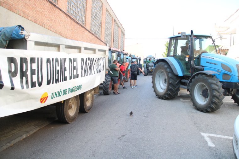 Més d’un centenar de viticultors es concentren a Sant Sadurní d’Anoia per exigir un preu “digne” del raïm. ACN