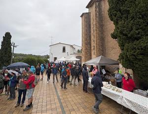 Mitja marató rural de Ribes