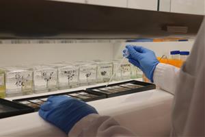 Neuròlegs urgeixen a preparar la sanitat pública per a una “nova era” de l’Alzheimer i l’arribada dels primers fàrmacs. ACN