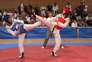 Open Internacional Sant Pere de Ribes Waychamp de Taekwondo