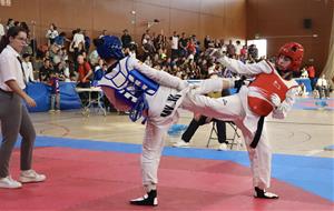 Open Internacional Sant Pere de Ribes Waychamp de Taekwondo
