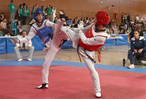 Open Internacional Sant Pere de Ribes Waychamp de Taekwondo