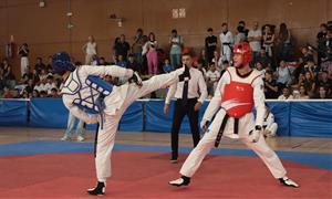 Open Internacional Sant Pere de Ribes Waychamp de Taekwondo