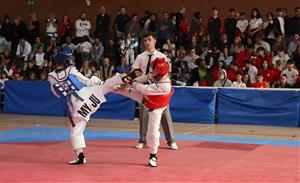 Open Internacional Sant Pere de Ribes Waychamp de Taekwondo