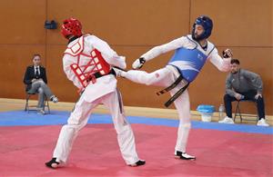 Open Internacional Sant Pere de Ribes Waychamp de Taekwondo