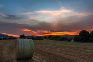 Paisatge d'estiu a Sant Quintí de Mediona. Xavi Navas