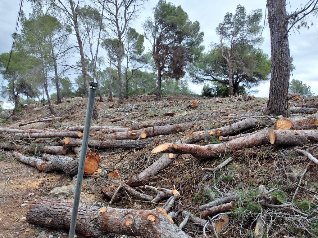 Planta de Biomassa de Sant Pere de Ribes: Un Projecte de bioeconomia i circularitat per al futur sostenible del municipi. Ajt Sant Pere de Ribes