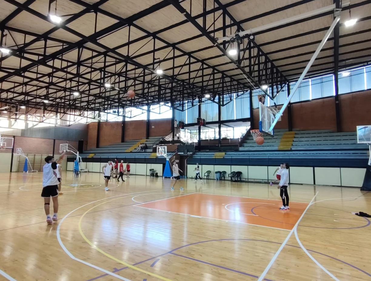 Poliesportiu Municipal de l’Arboç . Eix