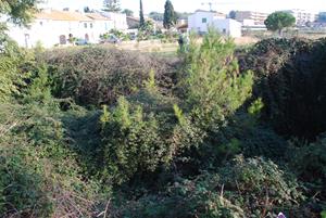 Preocupació entre els veïns de Vilanoveta per la brutícia i la vegetació acumulada a la riera