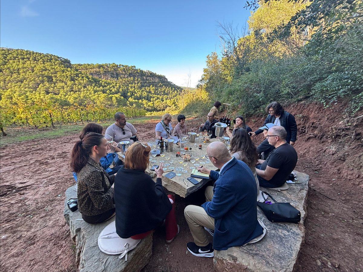 Prescriptors dels EUA i Canadà descobreixen la DO Penedès com la primera regió vitivinícola 100% ecològica del món. DO Penedès