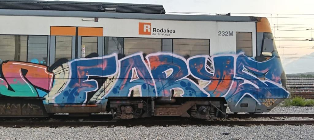 Quatre detinguts per pintar un tren de Rodalies al Vendrell. ACN
