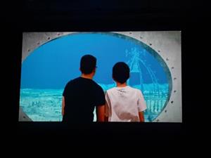 Re@cciona: 15 anys treballant els Objectius de Desenvolupament Sostenible a través del cinema. Ajuntament de Vilanova